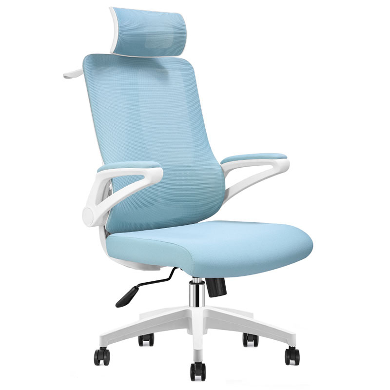 Office furniture computer chair Ergonomic chair office lunch chair Office furniture computer chair Ergonomic chair office lunch chair